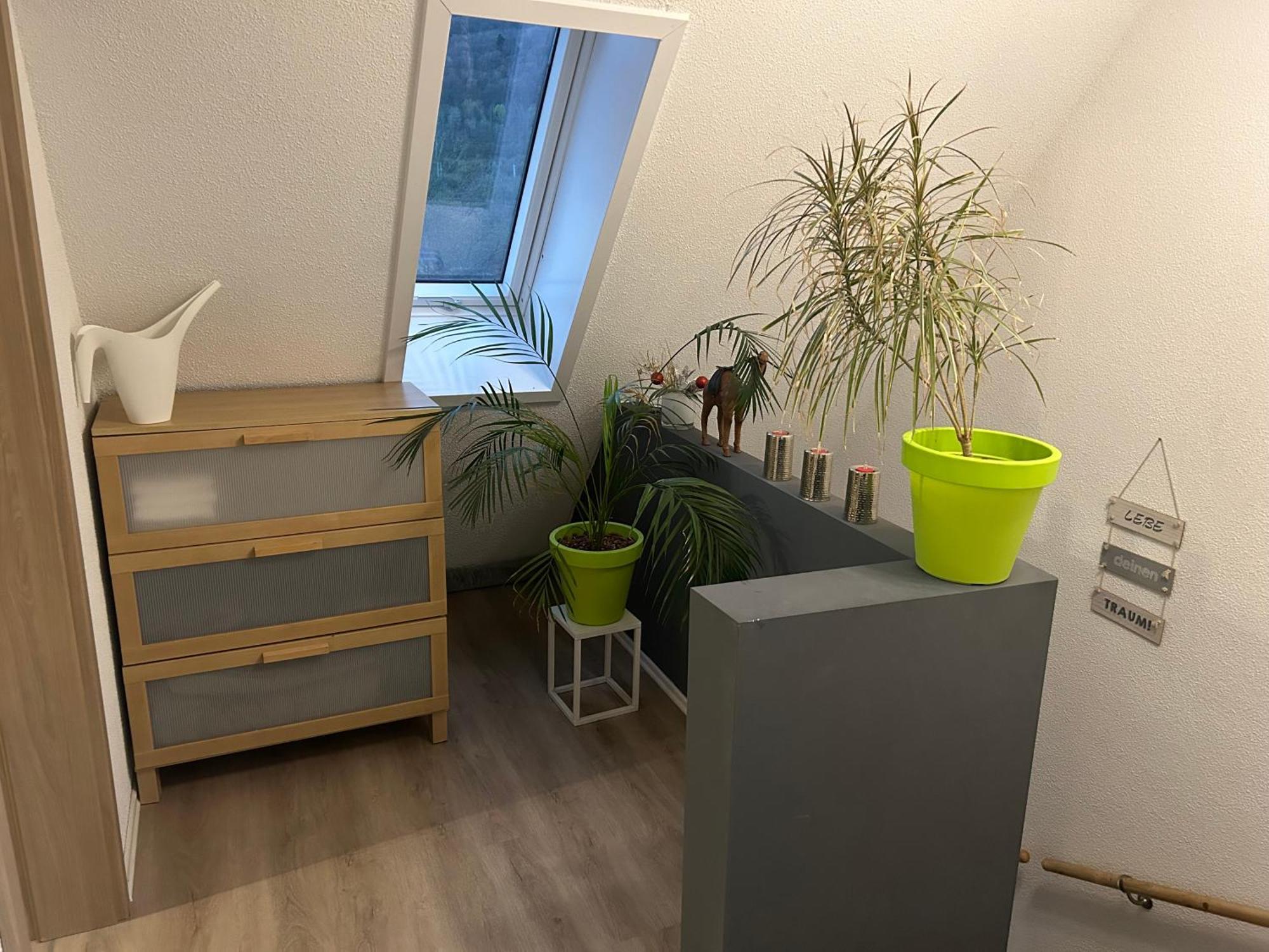Ferienhaus Ayna, Direkt An Der Schweizer Grenze Bad Säckingen Екстериор снимка